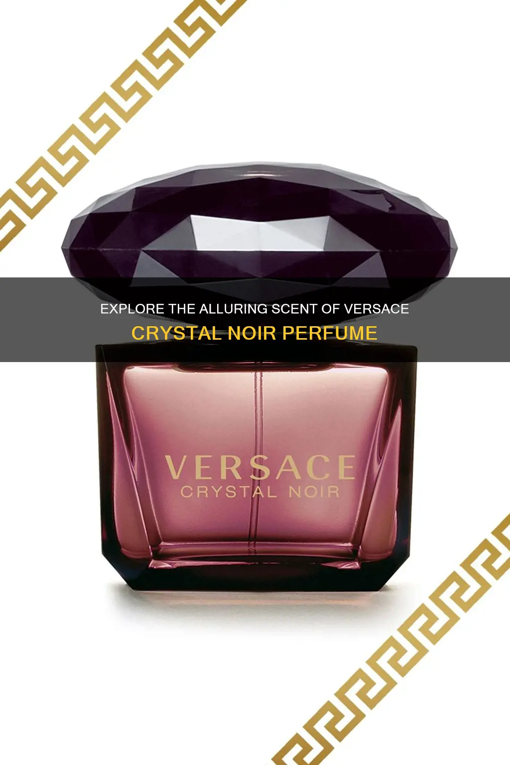 how much is versace crystal noir perfume