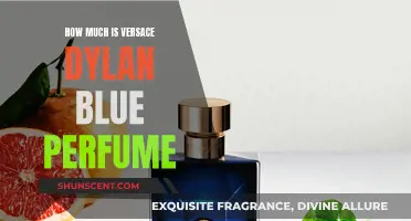 Explore the Dylan Blue Perfume by Versace: Price and Review