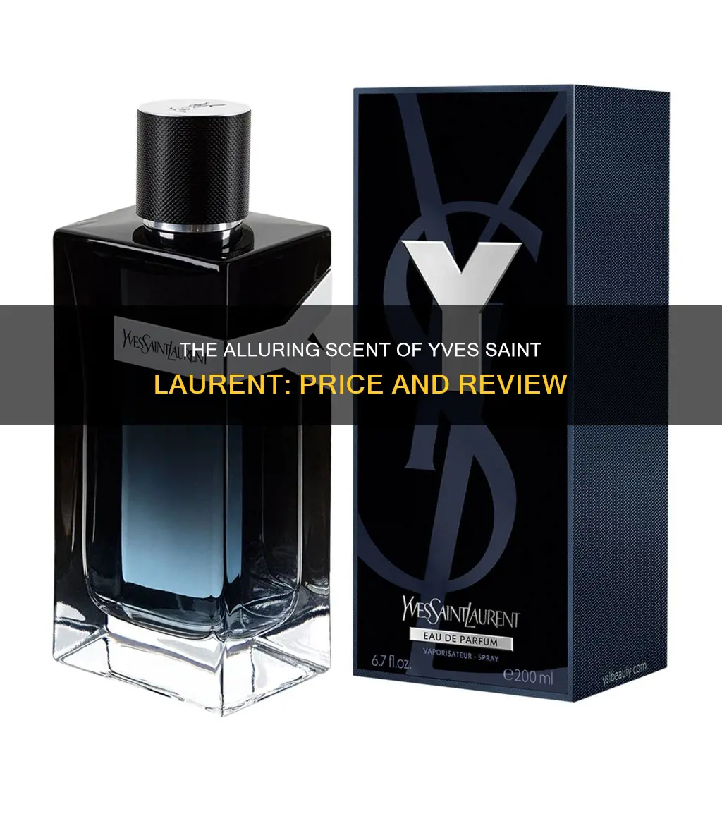 how much is yves saint laurent cologne