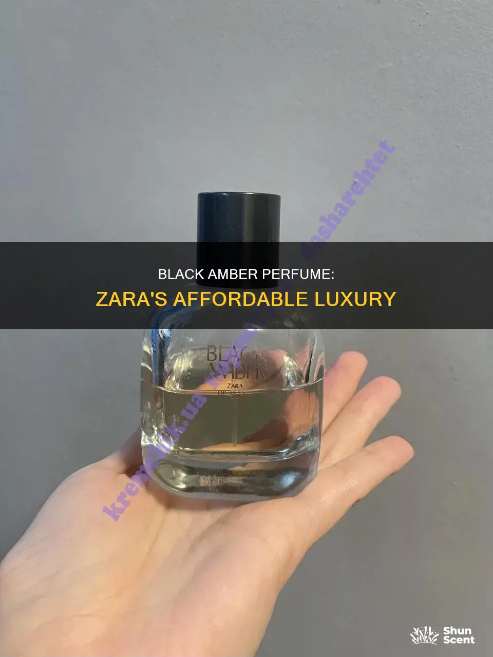 how much is zara black amber perfume