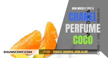 Chanel's Coco Perfume: What's the Price Tag?