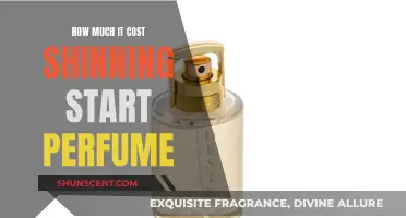 The Shining Star Perfume: Cost and Review