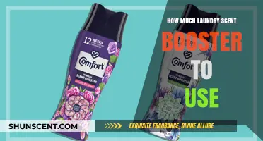 Perfect Scent Every Time: Laundry Booster Dosage Guide