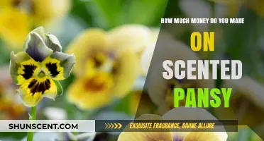 Earning Potential on Scented Pansy: Unlocking Your Income Opportunities