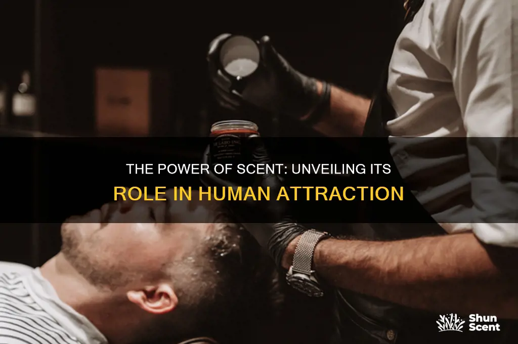 how much of attraction is scent