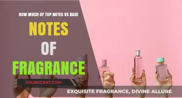 The Art of Fragrance: Top Notes vs Base Notes