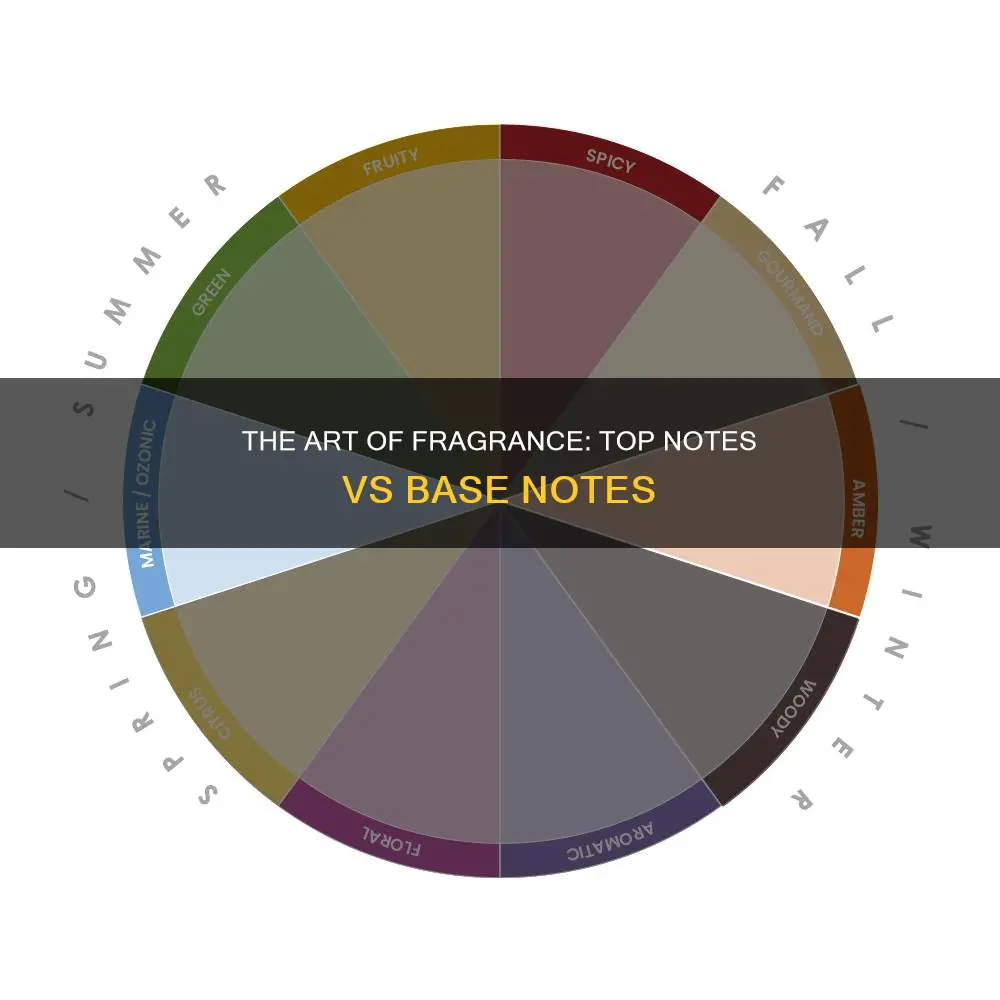 how much of top notes vs base notes of fragrance