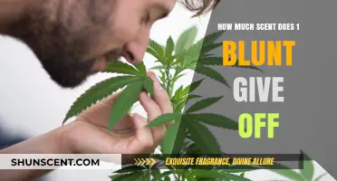 Measuring Blunt Smoke Odor: How Much Scent Does One Blunt Emit?