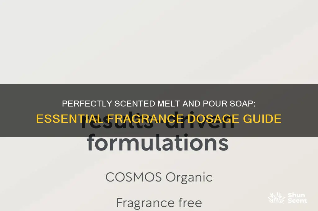 how much scent to add to melt and pour soap