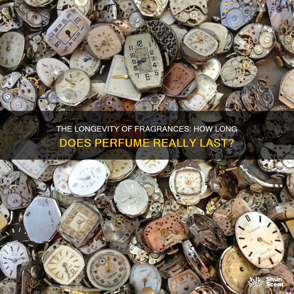 how much time does a perfume last
