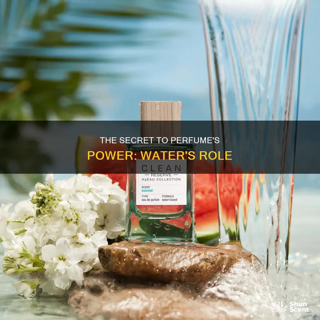 how much water in perfume