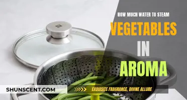 Steaming Veggies: How Much Water for Aroma?