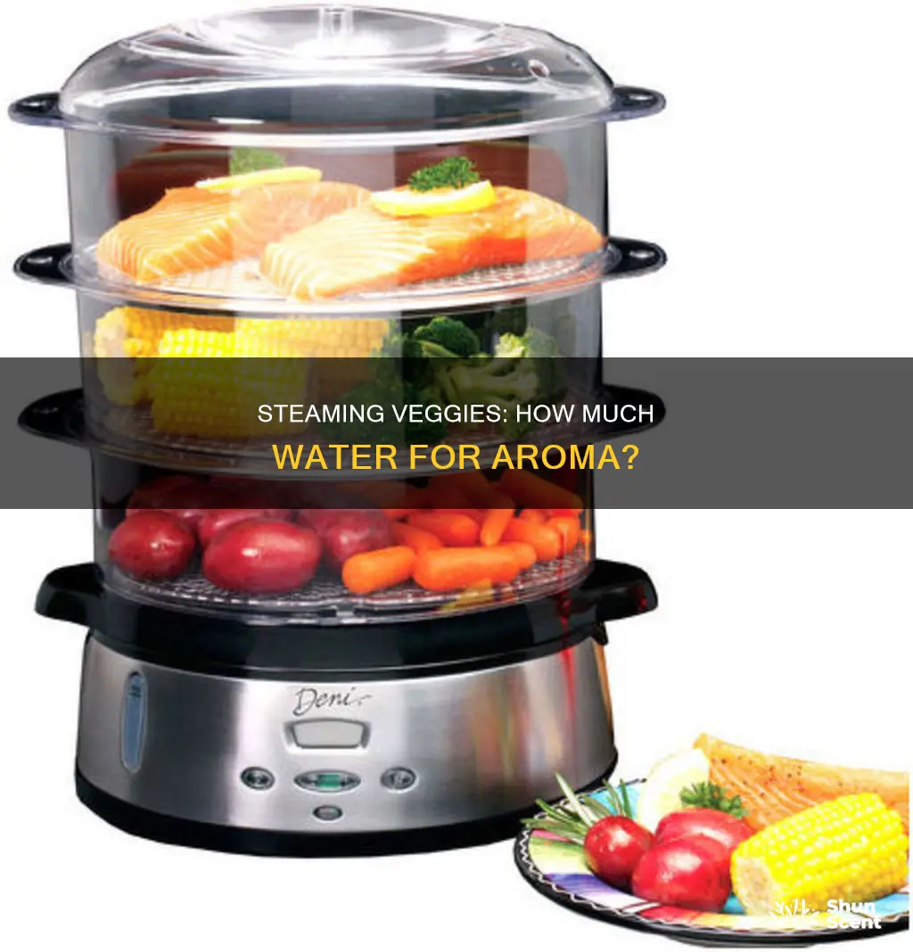 how much water to steam vegetables in aroma