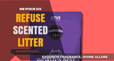 Why Cats Often Refuse Scented Litter: Understanding Feline Preferences