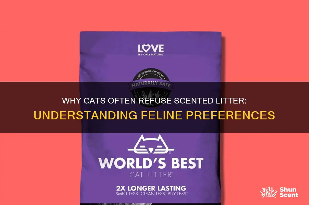 how often do cats refuse scented litter