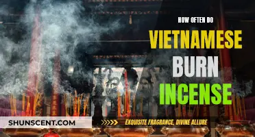Burning Incense in Vietnam: A Daily Practice or Cultural Ritual?