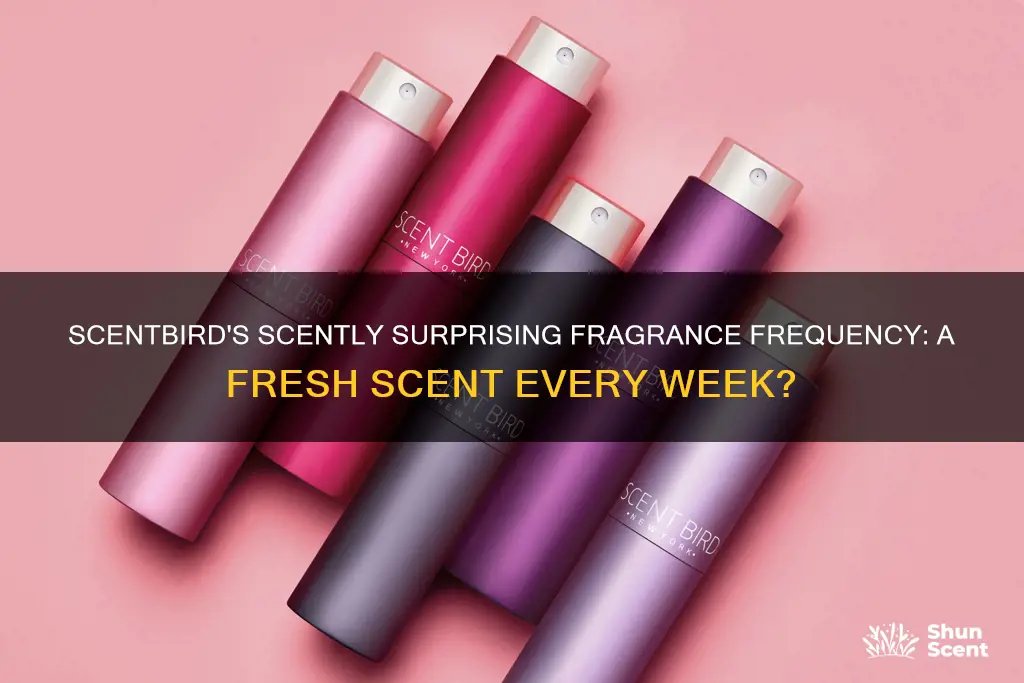 how often does scentbird get new fragrances