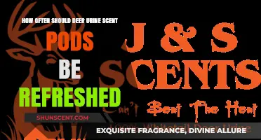 Refreshing Deer Urine Scent Pods: Optimal Frequency for Hunting Success