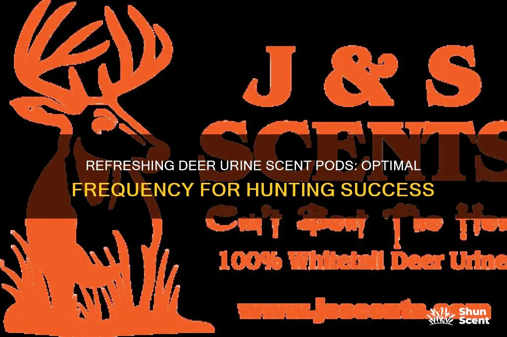 how often should deer urine scent pods be refreshed