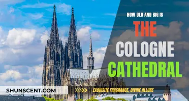 Exploring the Vastness of Cologne Cathedral's Age and Size