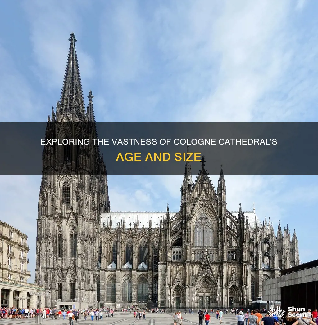 how old and big is the cologne cathedral