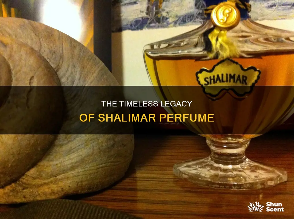 how old is shalimar perfume