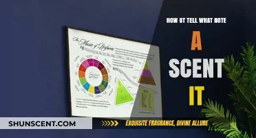 Decoding Scents: How to Identify the Musical Note of a Fragrance