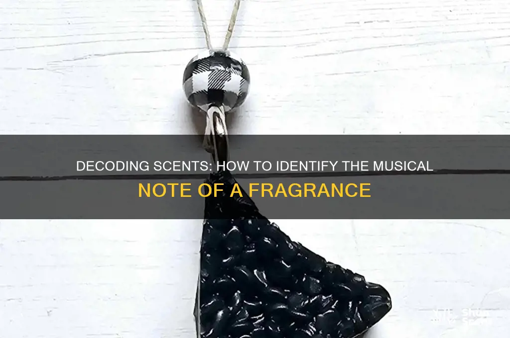 how ot tell what note a scent it