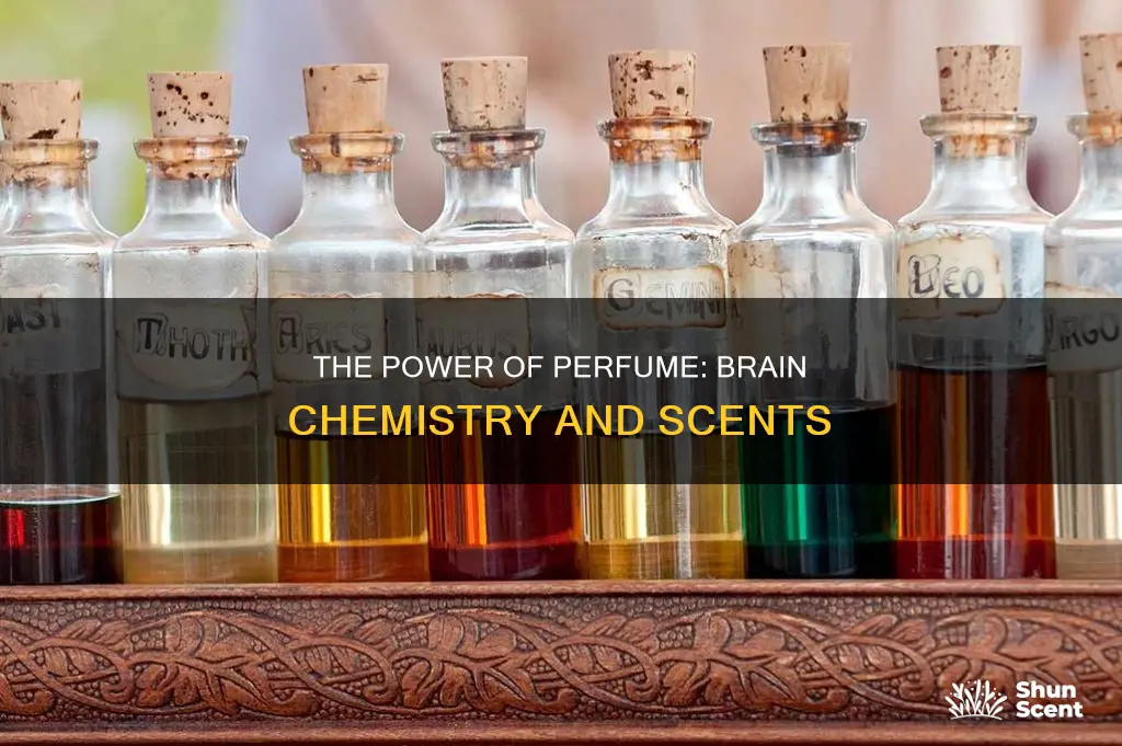 how perfume affect the brain