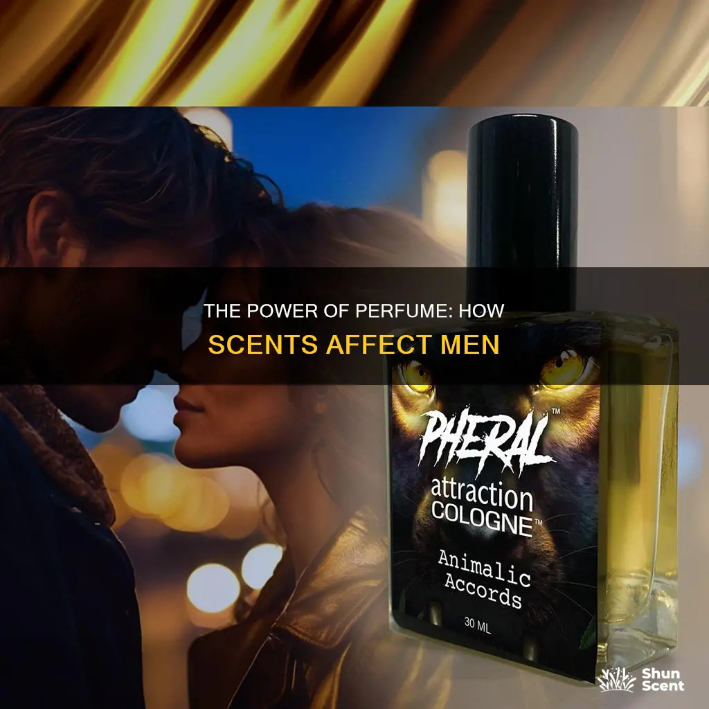 how perfume affects men