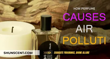 Perfumes: The Unseen Air Pollutant