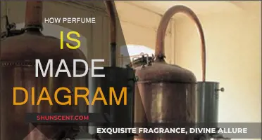 The Art of Perfume Making: A Visual Guide