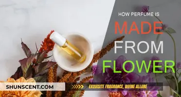 The Art of Floral Perfumes: From Petals to Fragrance
