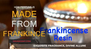 Frankincense: The Ancient Art of Perfume Making