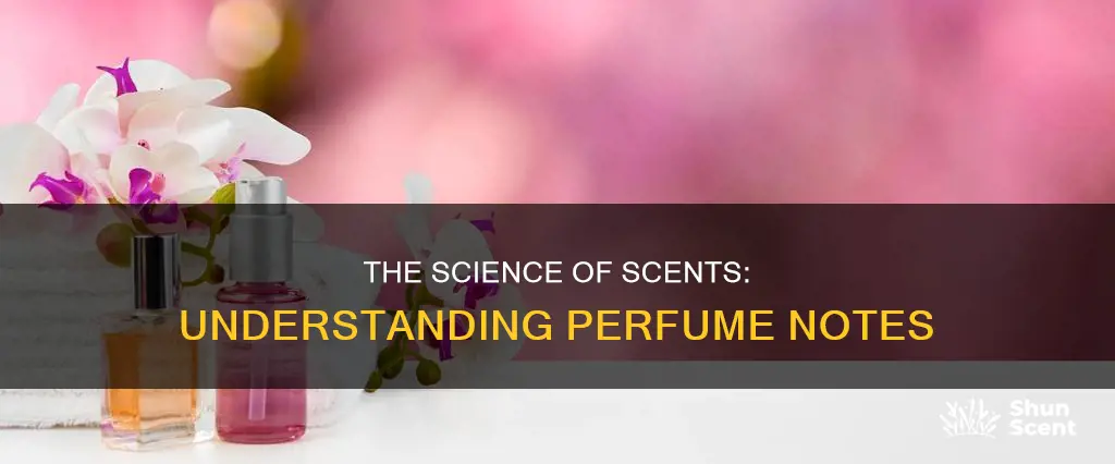 how perfume notes work