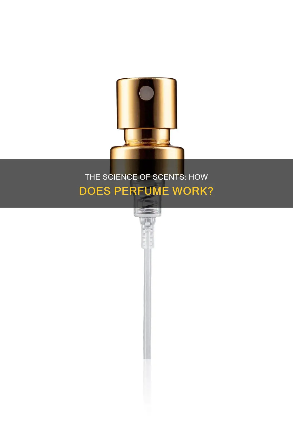 how perfume spray works