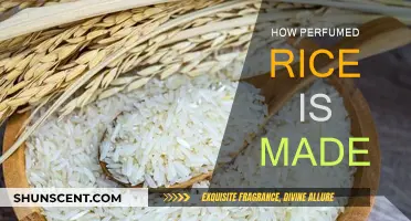 The Art of Crafting Fragrant Rice