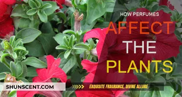 Aromatic Scents: Impacting Nature's Flora