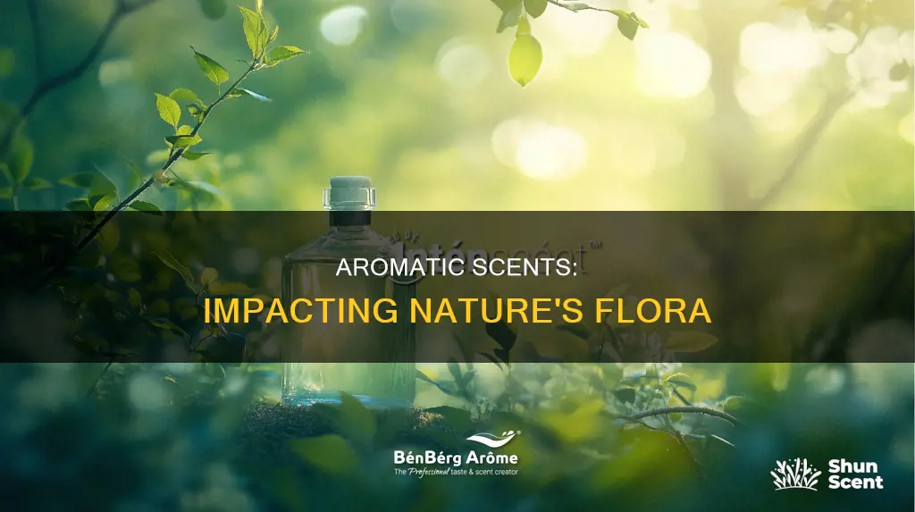 how perfumes affect the plants