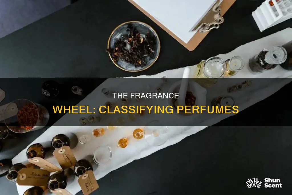 how perfumes are classified