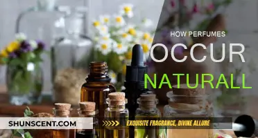 The Natural Art of Perfume: Scent's Origins