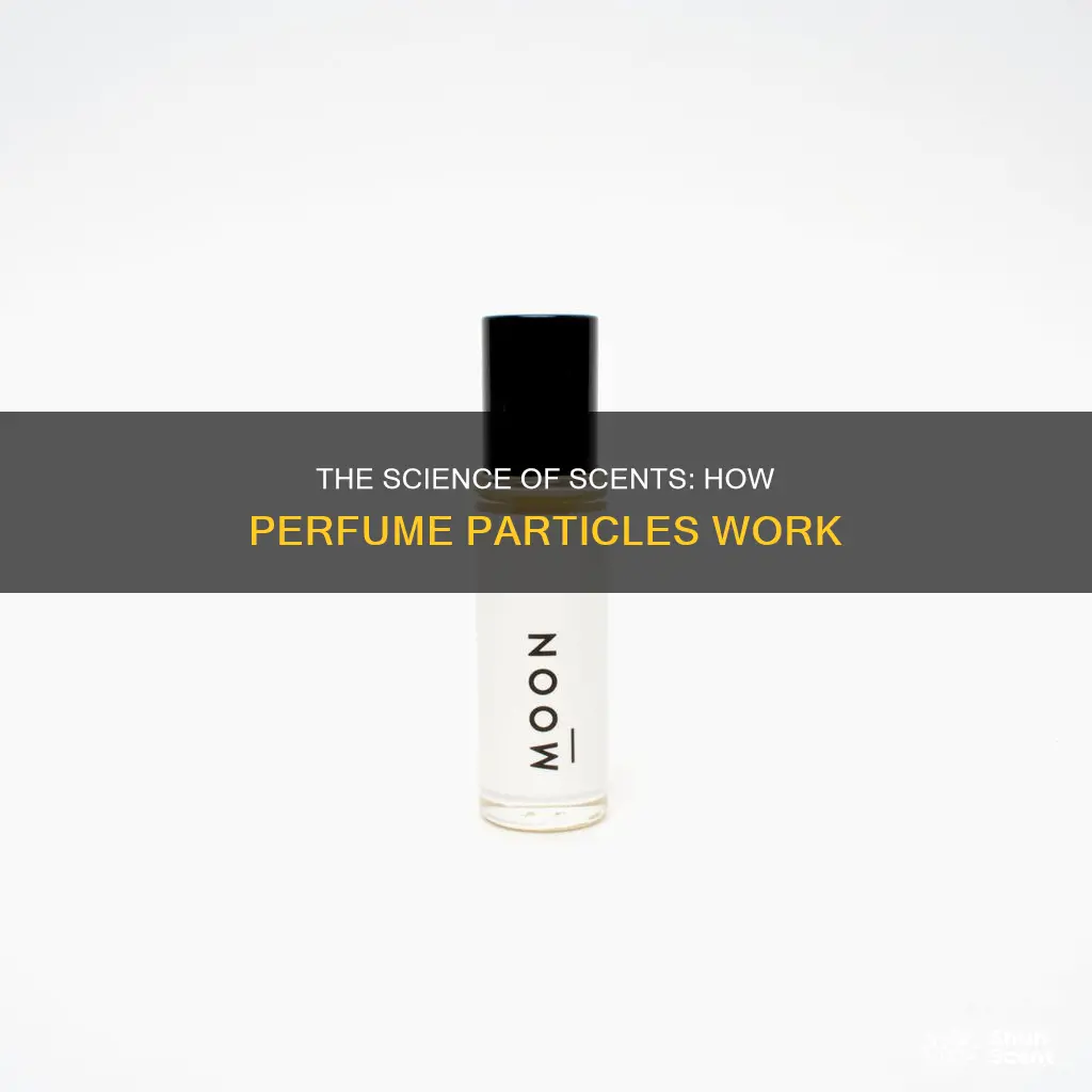 how perfumes work in terms of particles