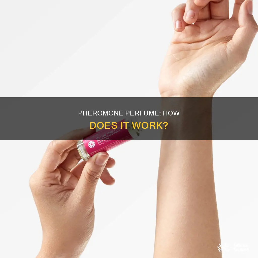 how pheromone perfume work
