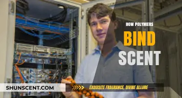Unlocking the Science: How Polymers Capture and Bind Scents
