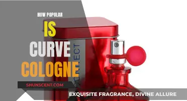 The Curve Cologne: A Fragrance Icon Revisited