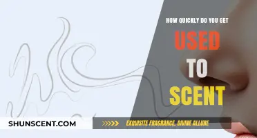 How Fast Does Your Nose Adapt to New Scents?