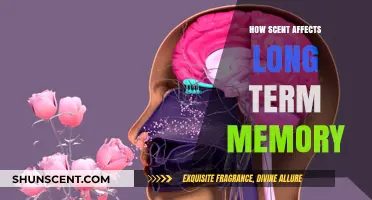 Scents and Sentiments: How Smells Unlock Lasting Memories