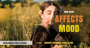 The Power of Scent: How Aromas Influence Emotions and Mood