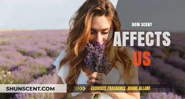The Power of Scent: How Aromas Influence Emotions and Memories