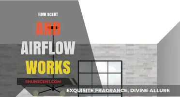 Understanding Scent Dispersion: The Science of Airflow and Fragrance
